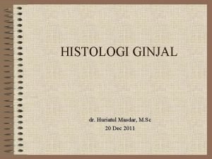 HISTOLOGI GINJAL dr Huriatul Masdar M Sc 20