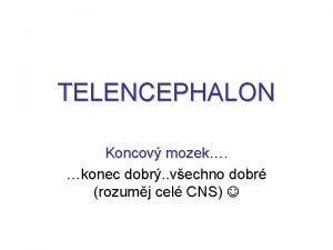 TELENCEPHALON Koncov mozek Koncov mozek konec dobr vechno