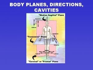 BODY PLANES DIRECTIONS CAVITIES BODY PLANES LINE THROUGH