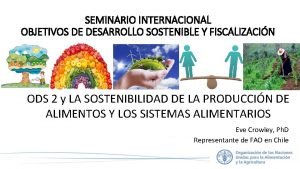 SEMINARIO INTERNACIONAL OBJETIVOS DE DESARROLLO SOSTENIBLE Y FISCALIZACIN