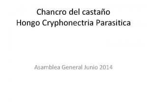 Chancro del castao Hongo Cryphonectria Parasitica Asamblea General