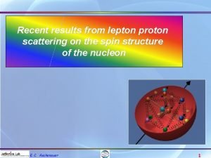 Recent results from lepton proton scattering on the