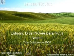 Unidad 10 Rut Estudio Dios Provee para Rut