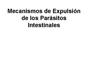 Mecanismos de Expulsin de los Parsitos Intestinales Trichuris