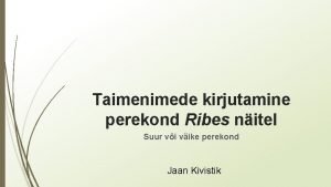 Taimenimede kirjutamine perekond Ribes nitel Suur vi vike