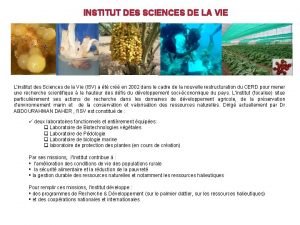 INSTITUT DES SCIENCES DE LA VIE Linstitut des