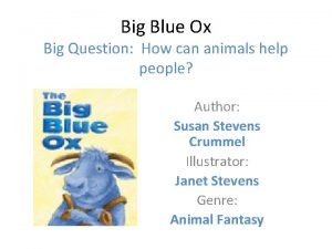 Big Blue Ox Big Question How can animals