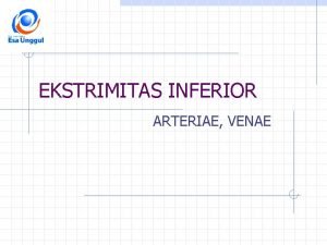 EKSTRIMITAS INFERIOR ARTERIAE VENAE Tujuan Instruksional Umum Mahasiswa