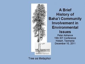 A Brief History of Bahai Community Involvement in