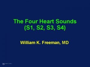 Heart sound auscultation areas