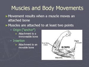Types of ordinary body movements