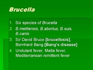 Brucella 1 Six species of Brucella 2 B