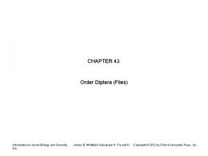 CHAPTER 43 Order Diptera Flies Introduction to Insect