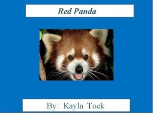 Life cycle of red panda
