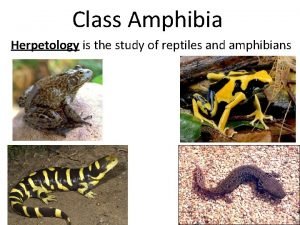 Herpetology is the study of