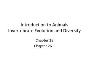 Lesson 4 invertebrate evolution and diversity 1