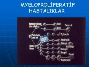 MYELOPROLFERATF HASTALIKLAR MYELOPROLFERATF HASTALIKLAR n Kronik myelositer lsemi