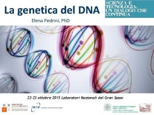 La genetica del DNA Elena Pedrini Ph D