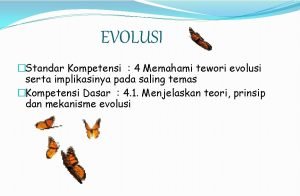Evolusi