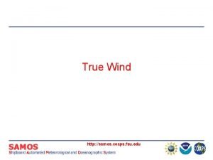 True Wind http samos coaps fsu edu Suspect