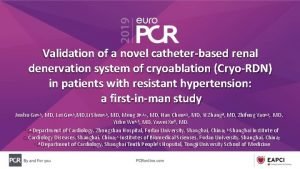 Validation of a novel catheterbased renal denervation system