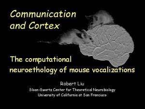 Communication and Cortex The computational neuroethology of mouse