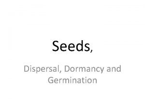 Define seed dormancy