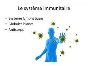 Le systme immunitaire Systme lymphatique Globules blancs Anticorps