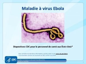 Maladie virus Ebola Diapositives CDC pour le personnel