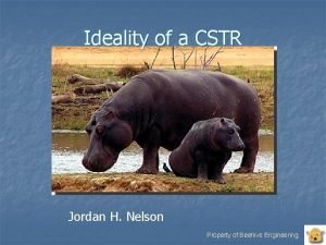 Ideality of a CSTR Jordan H Nelson Property