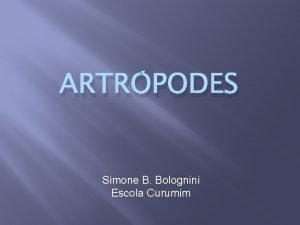 ARTRPODES Simone B Bolognini Escola Curumim Os artrpodes