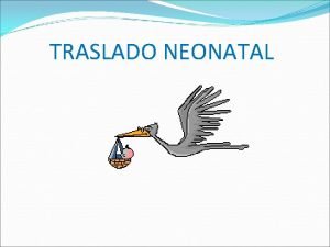 TRASLADO NEONATAL QU ES UN TRASLADO SISTEMA ORGANIZADO