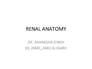 Right renal