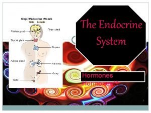 The Endocrine System Hormones What is the Endocrine