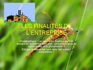 LES FINALITES DE LENTREPRISE Problmatique Les nouvelles finalits