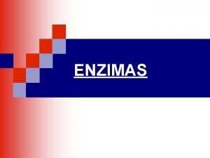 Tipos de enzimas