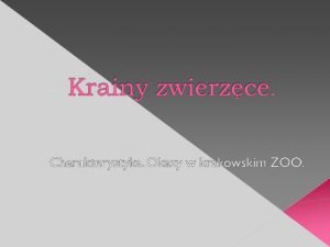 Gibon białoręki krzyżówka