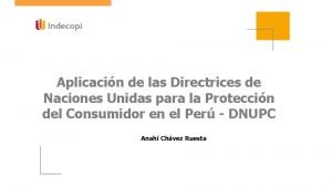 Aplicacin de las Directrices de Naciones Unidas para