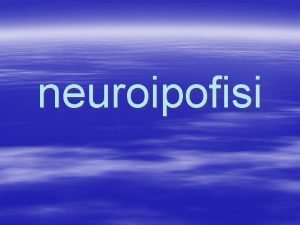 neuroipofisi Centri nervosi superiori ipotalamo neuroipofisi ossitocina vasopressina