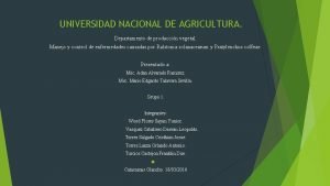UNIVERSIDAD NACIONAL DE AGRICULTURA Departamento de produccin vegetal