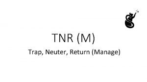 TNR M Trap Neuter Return Manage WHY TNR