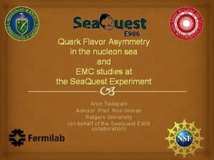 Quark Flavor Asymmetry in the nucleon sea and