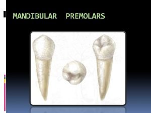 MANDIBULAR PREMOLARS INTRODUCTION Mandibular premolars are four in