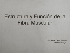 Unidad funcional del musculo