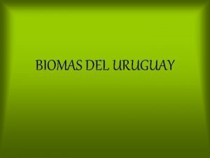 Biomas del uruguay costas