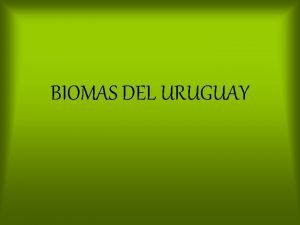 Biomas del uruguay