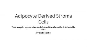 Adipocyte Derived Stroma Cells Their usage in regenerative