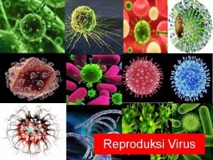 Reproduksi Virus Reproduksi Virus Pada seljaringan hidup Menginfeksi