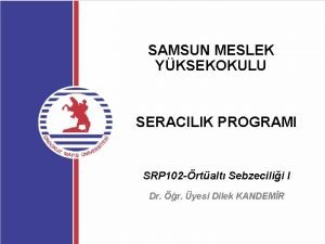 SAMSUN MESLEK YKSEKOKULU SERACILIK PROGRAMI SRP 102 rtalt