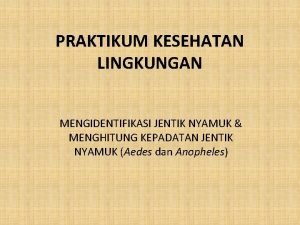 Cara menghitung kepadatan nyamuk